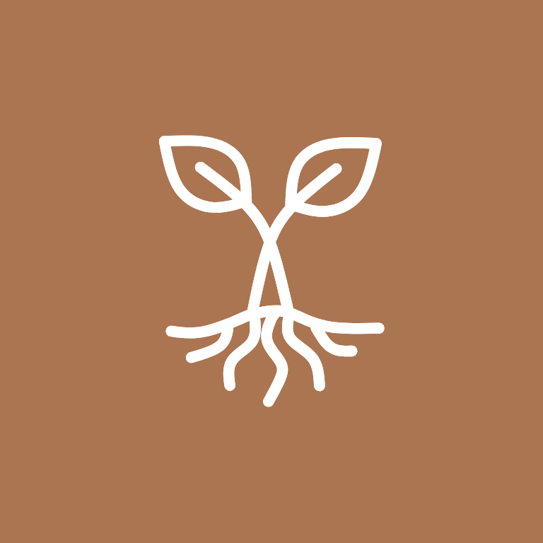 Soulful Journey Modul 3 - Meine Kraftquellen - 10.06.2026