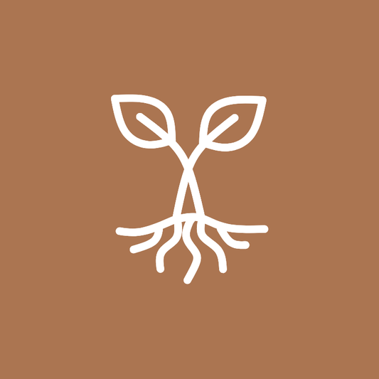 Soulful Journey Modul 3 - Meine Kraftquellen - 10.06.2026