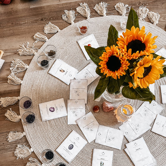 ROOT & BLOOM - 07.03.2026